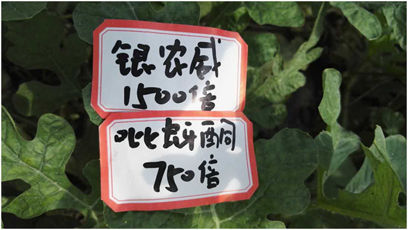 【探索】是什么讓黃蚜如此落?。?>
        </a>
        

    

</div><div   id=